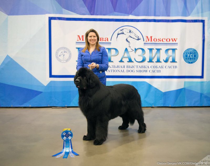 Фотография № 222437