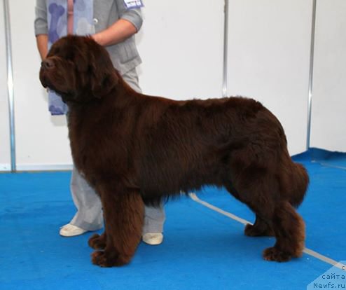 Фотография № 222457