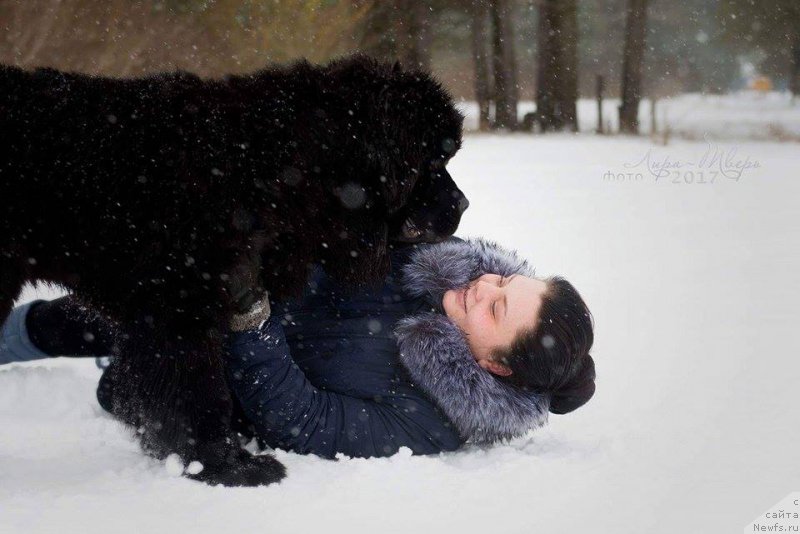 Фотография № 222468