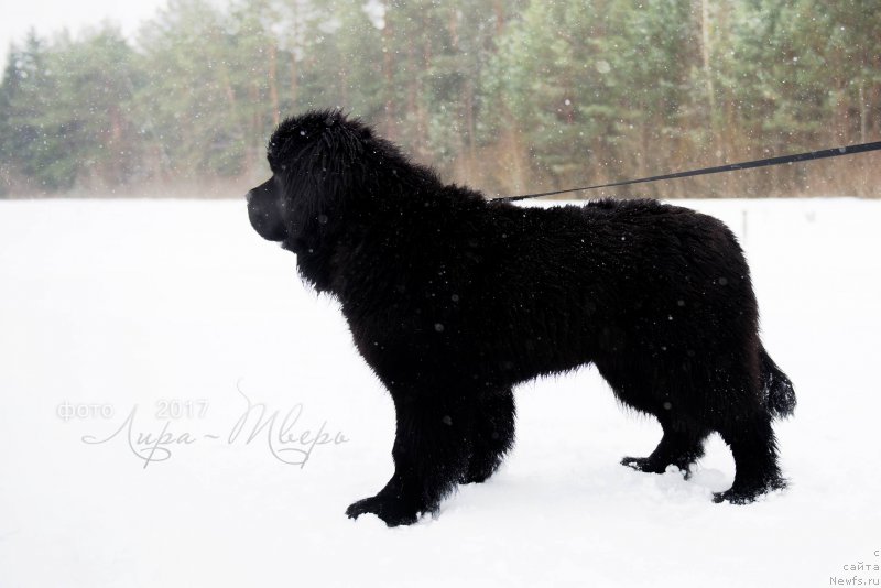 Фотография № 222469