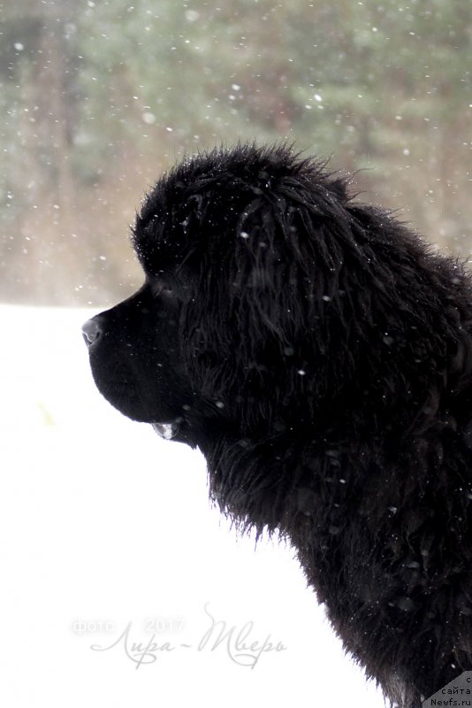 Фотография № 222471