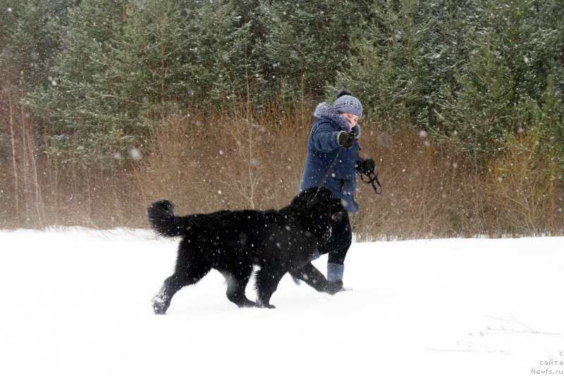 Фотография № 222472