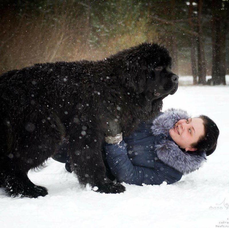 Фотография № 222475