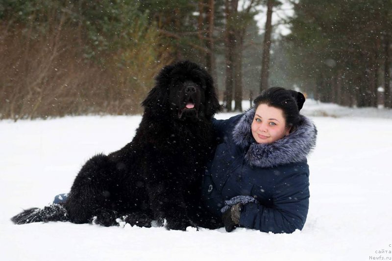 Фотография № 222478