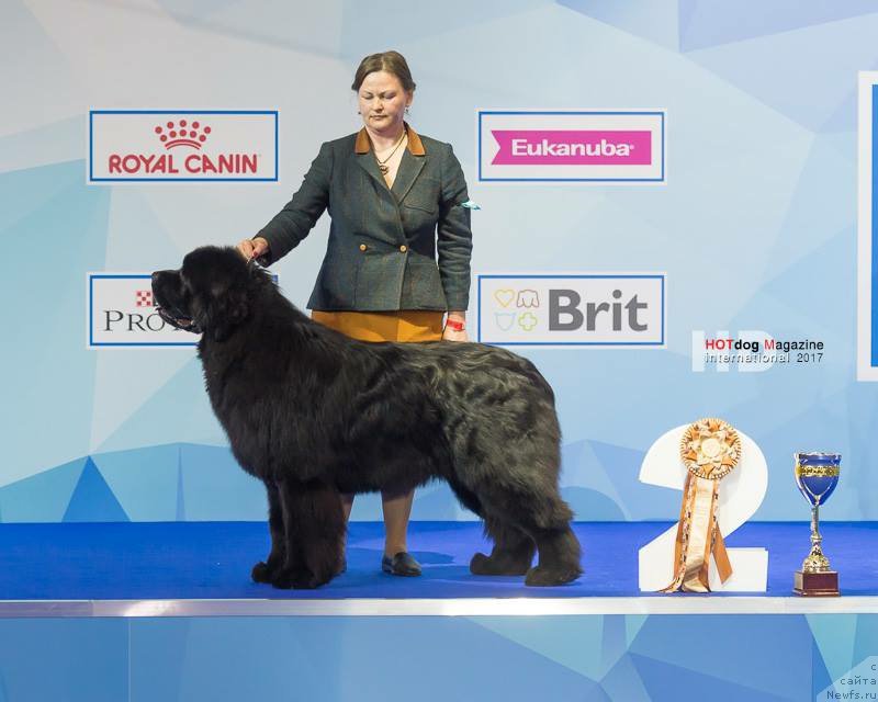 Фотография № 222509