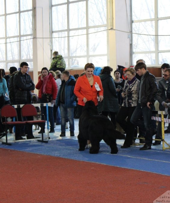 Фотография № 222511