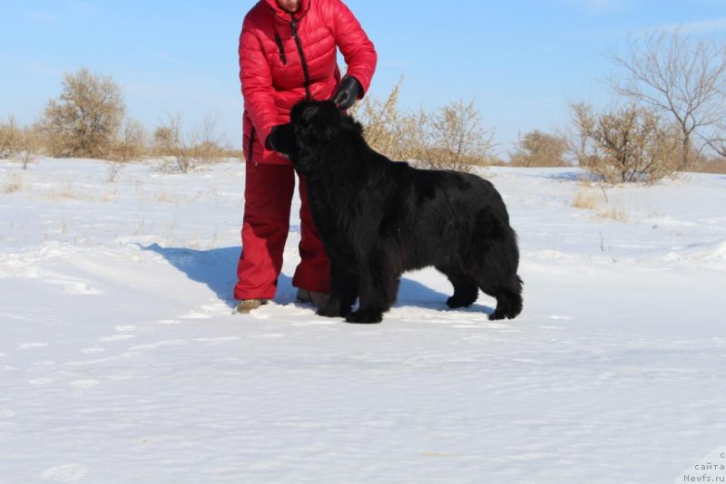 Фотография № 222514