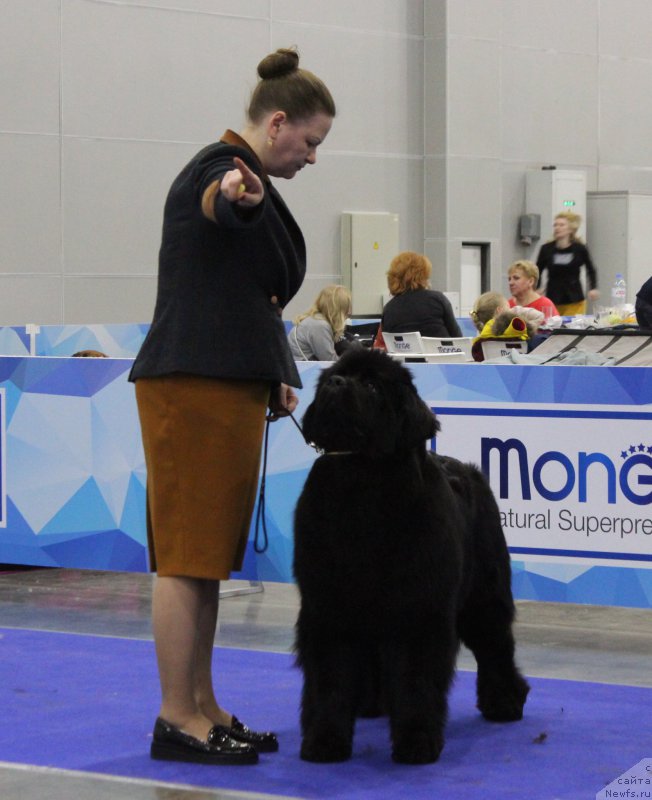 Фотография № 222518