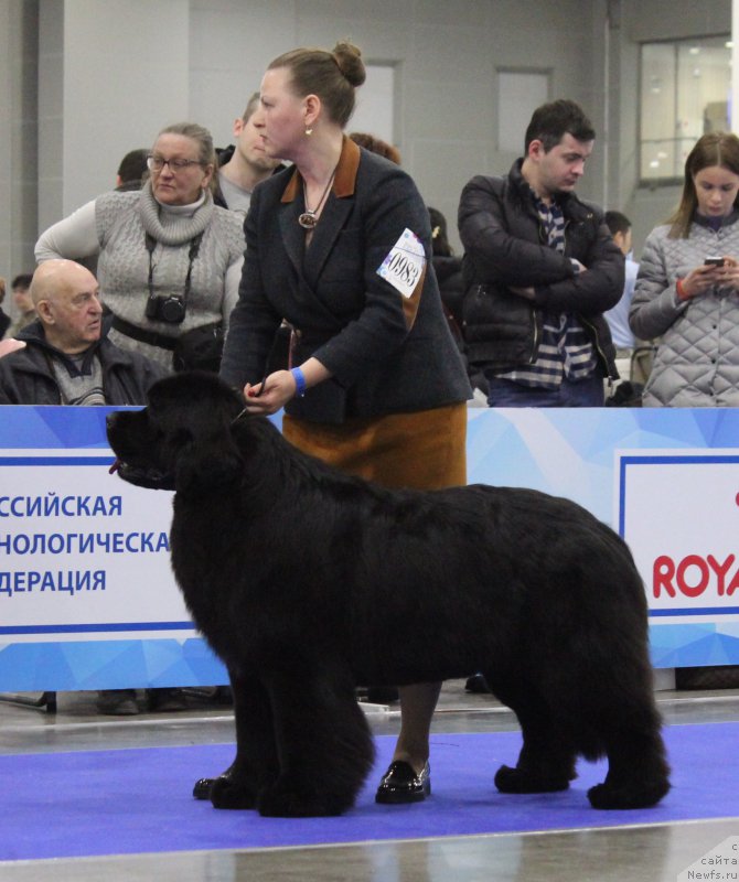 Фотография № 222524