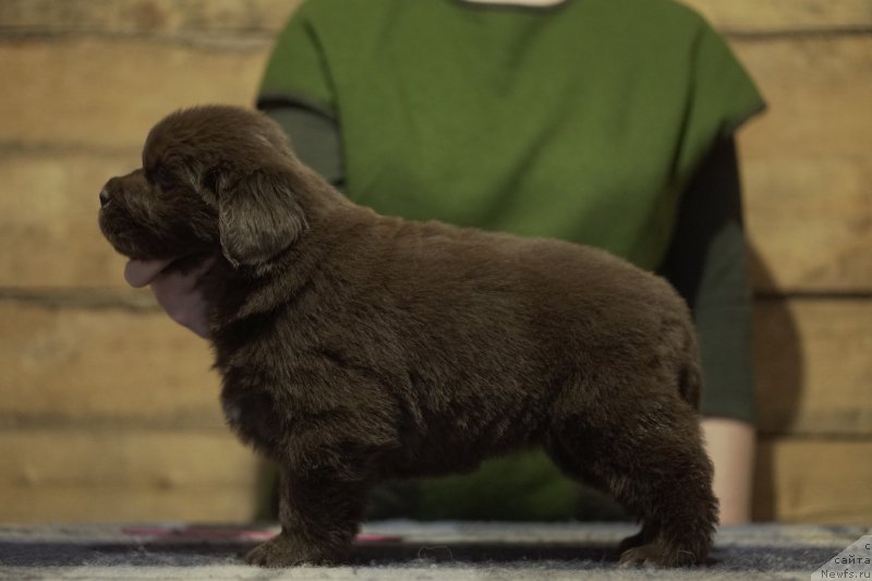 Фото: Акватория Келвин Кристина Барселона
