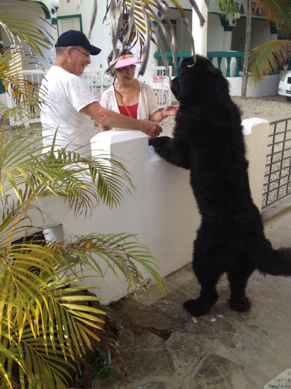 Фотография № 222549