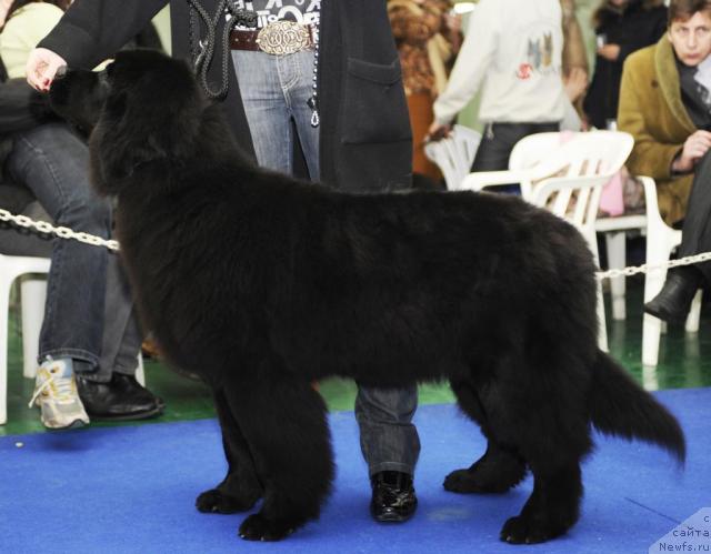 Фотография № 22255