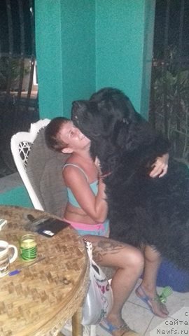 Фотография № 222551