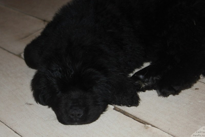 Фотография № 222577