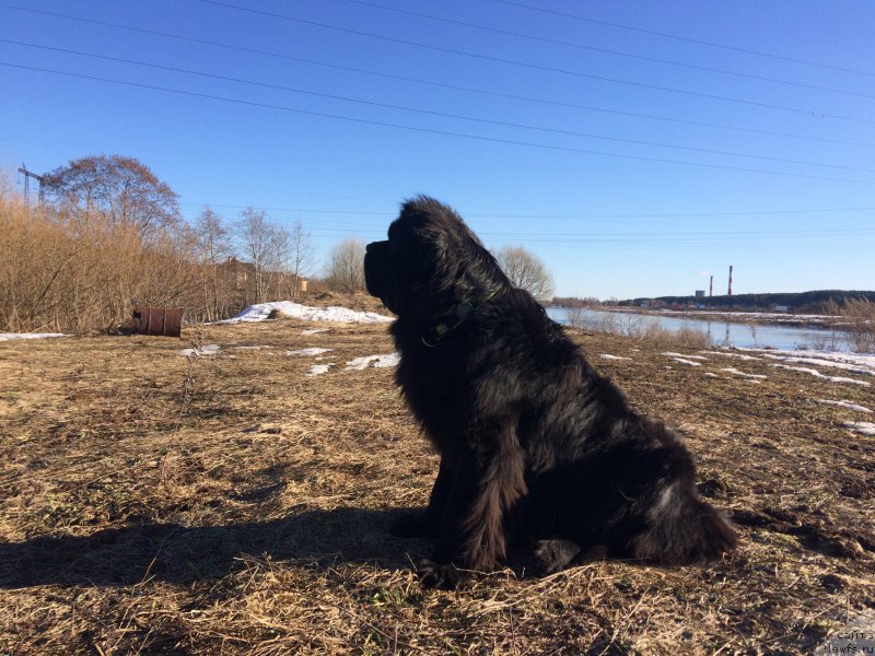 Фотография № 222631