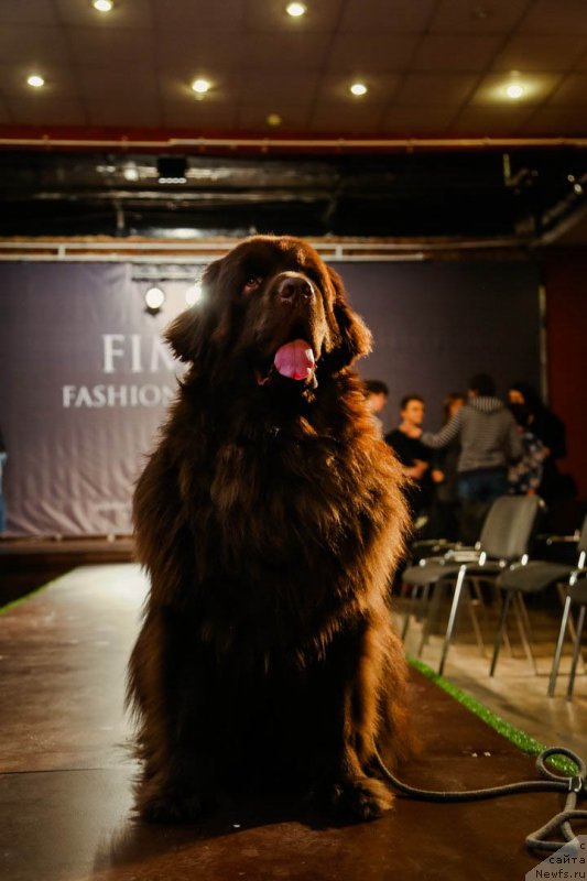 Фотография № 222641