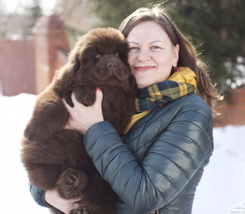 Фотография № 222642