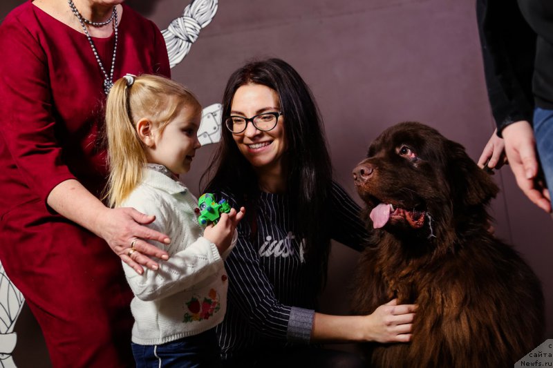 Фотография № 222644