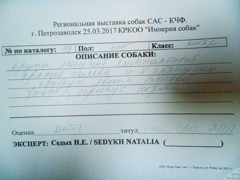 Фотография № 222665