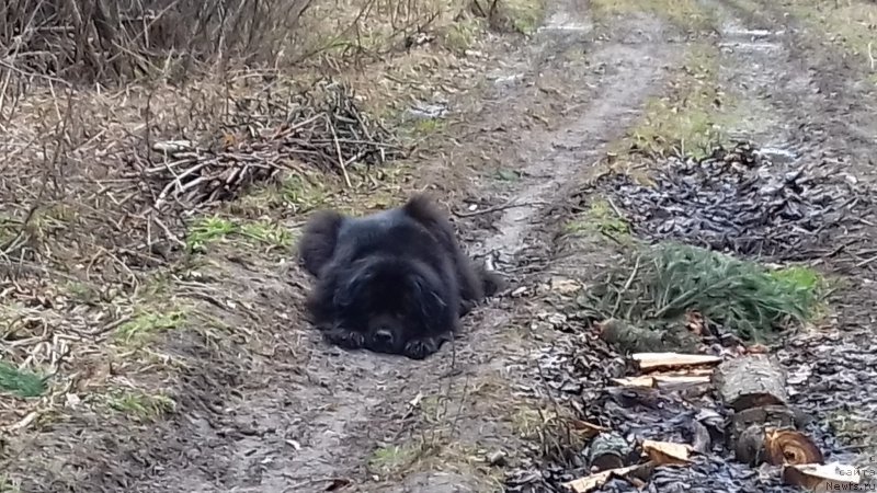 Фотография № 222669