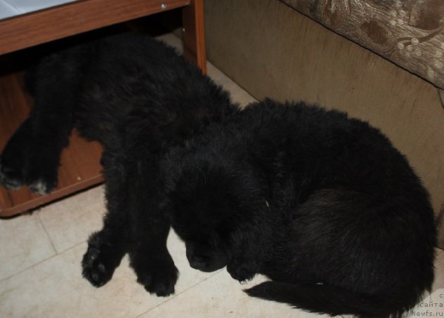 Фотография № 222685