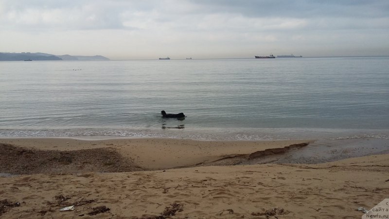 Фотография № 222699