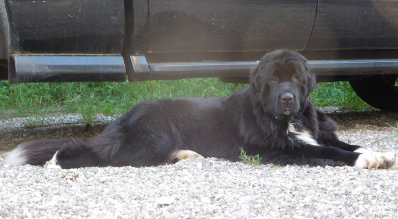 Фотография № 222706