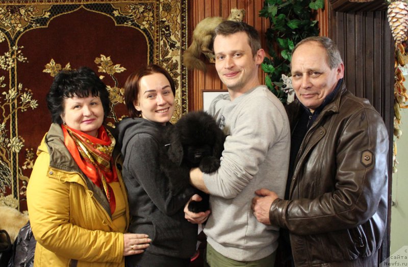 Фото: ньюфаундленд Brownblood MSK Lavy Neman (Браунблад MCК Лави Нэман)