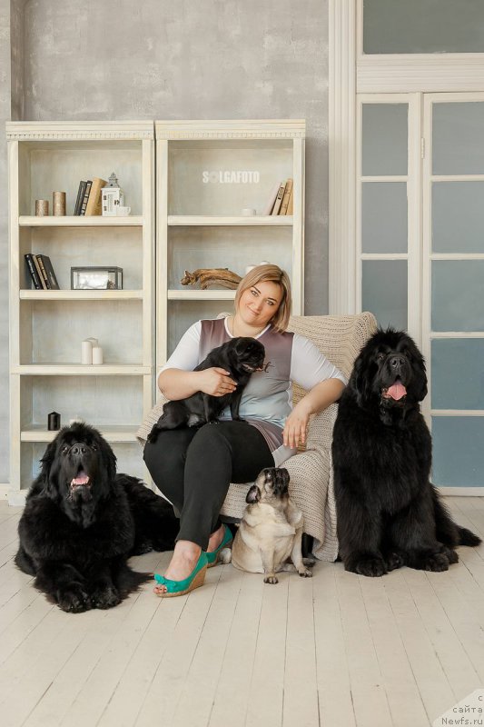 Фото: ньюфаундленд Rusalochka iz Plemeni Kedra (Русалочка из Племени Кедра), ньюфаундленд YEl'brus iz Antagrada (Эльбрус из Антаграда)