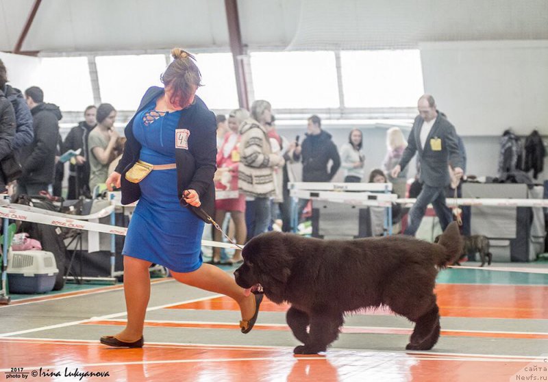 Фотография № 222728