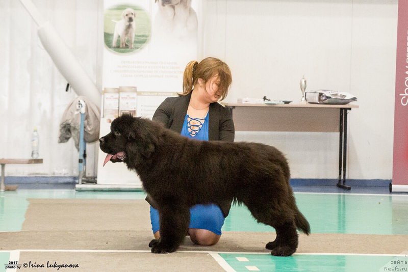 Фотография № 222729