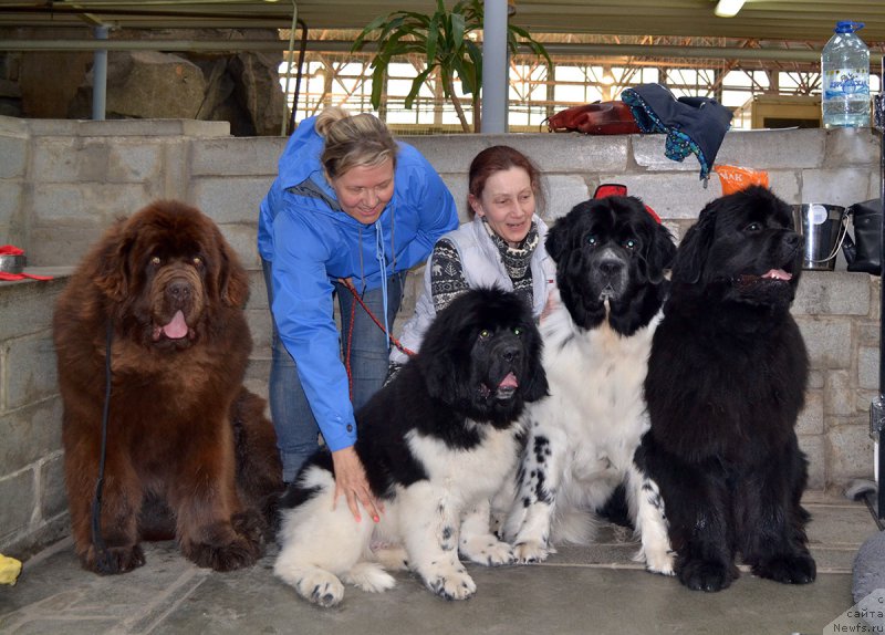 Фотография № 222740