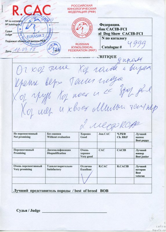 Фотография № 222766