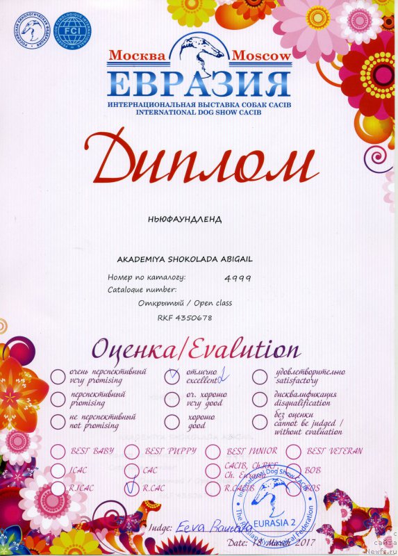 Фотография № 222767