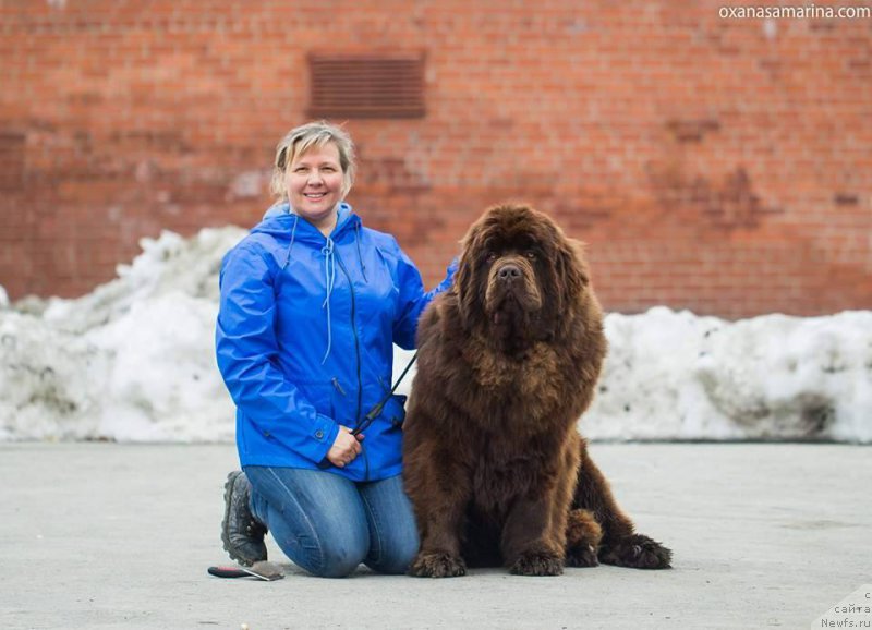 Фотография № 222790