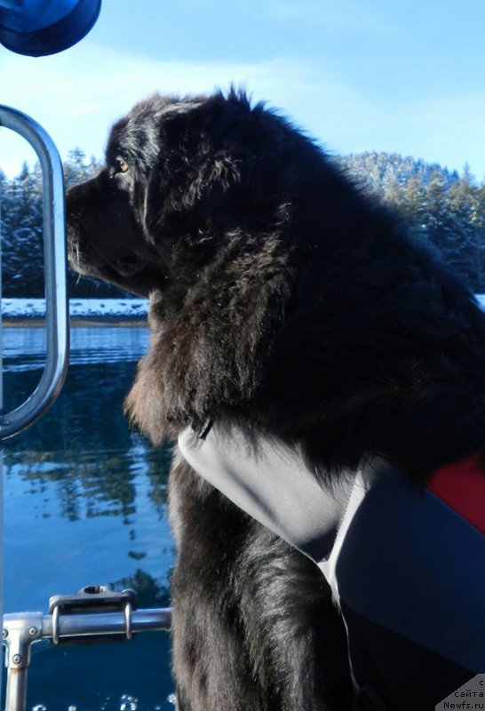 Фотография № 222815