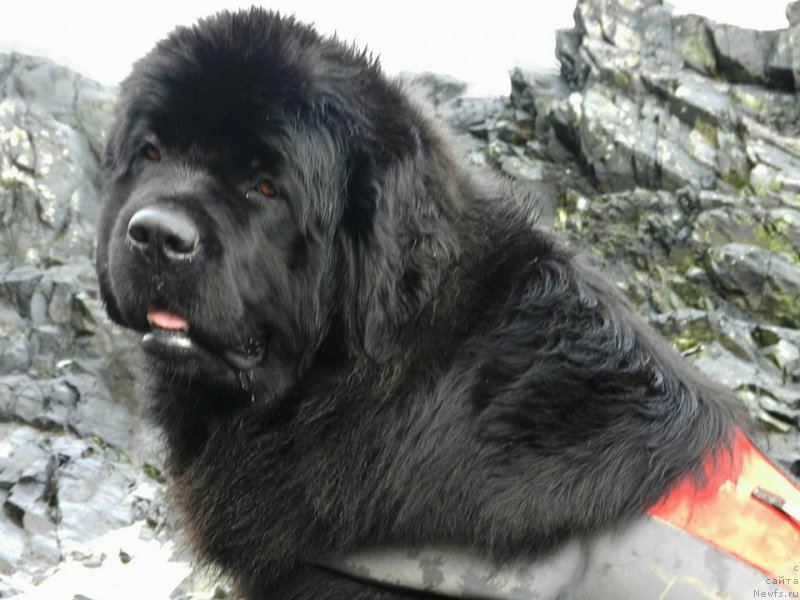 Фотография № 222834