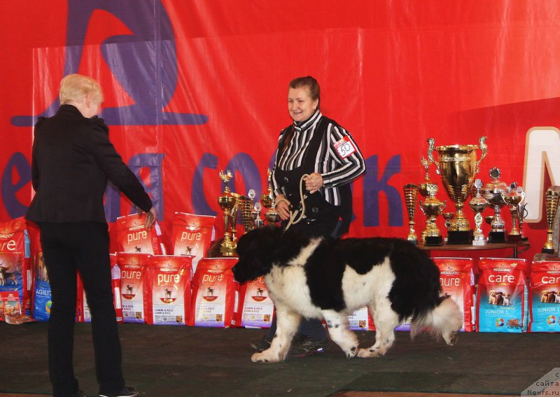 Фотография № 222847