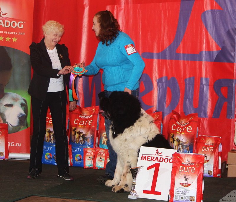 Фотография № 222855