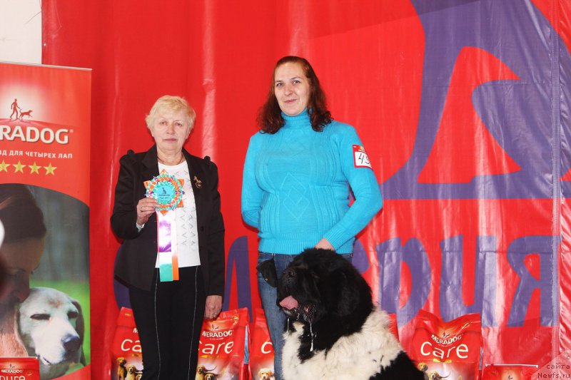 Фотография № 222856