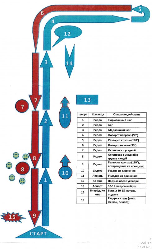 Фотография № 222865