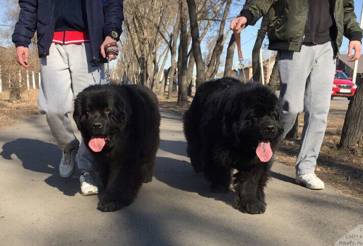 Фотография № 222867