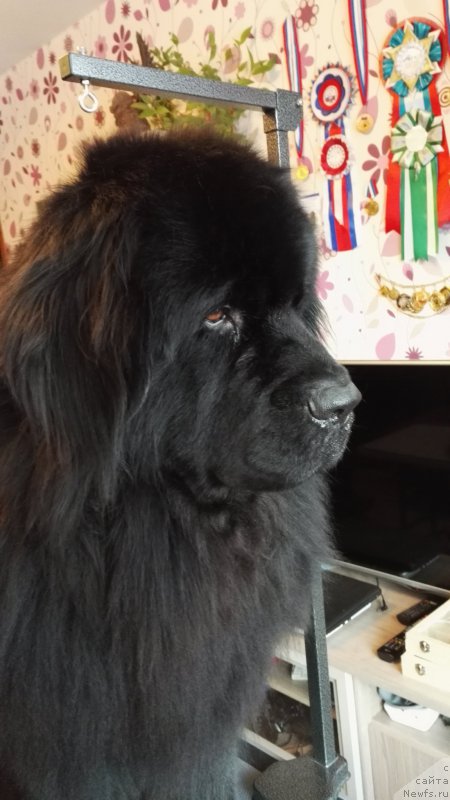 Фотография № 222964