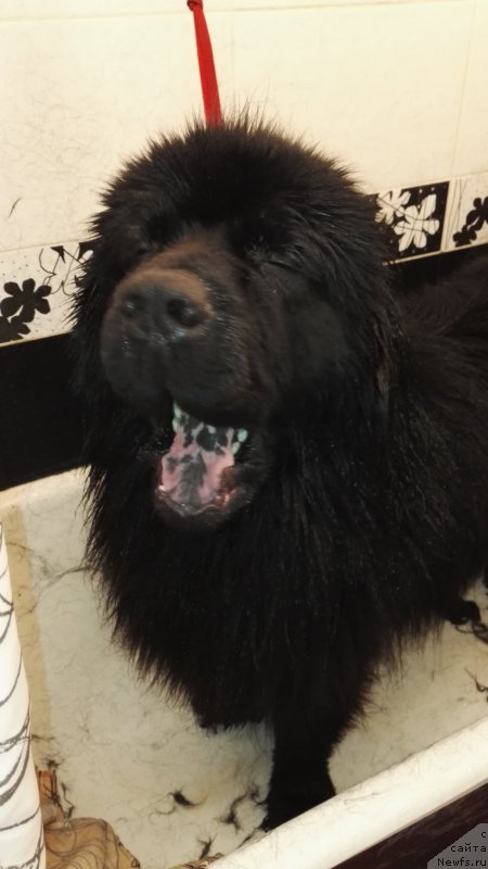 Фотография № 222970