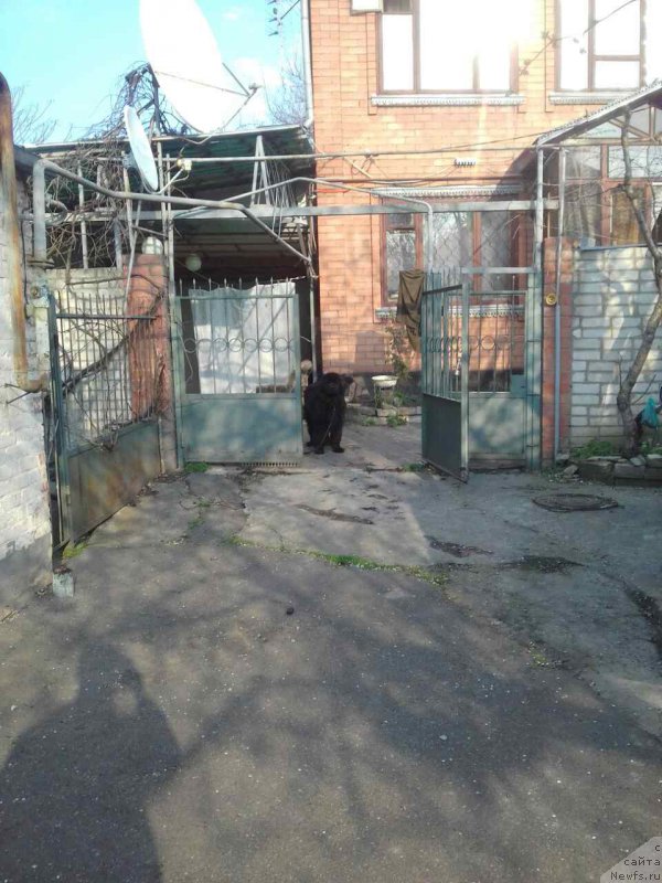 Фотография № 222972