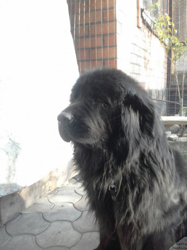 Фотография № 222974