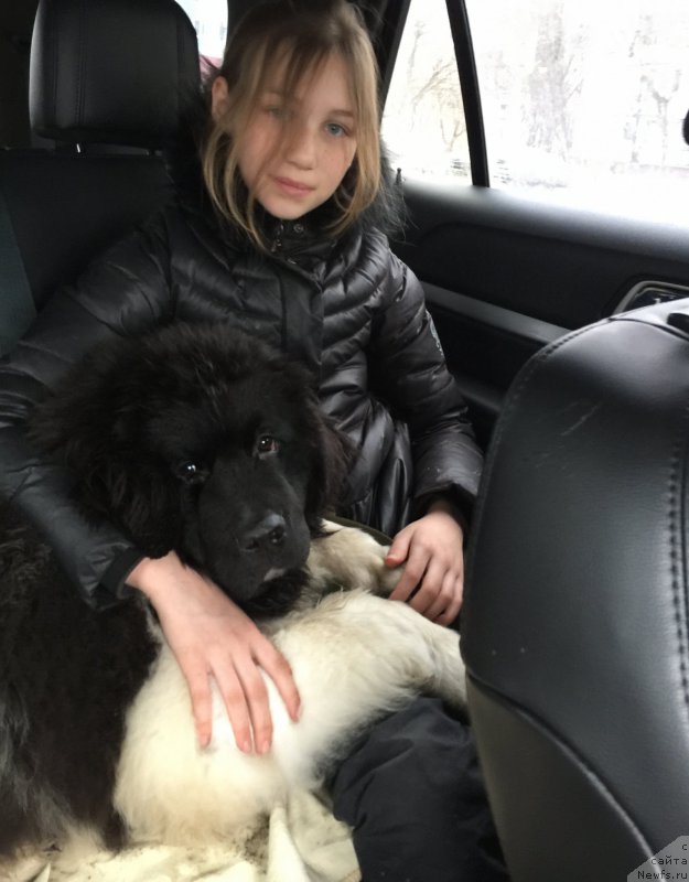 Фотография № 223011