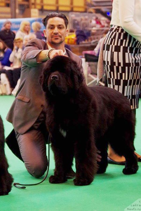 Фотография № 223049