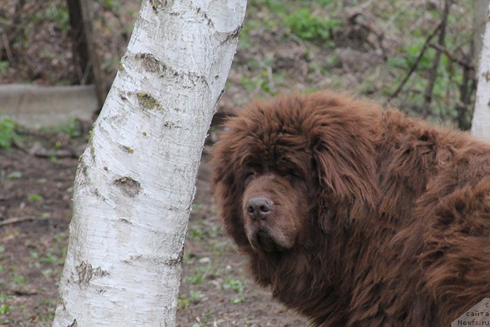 Фотография № 223051