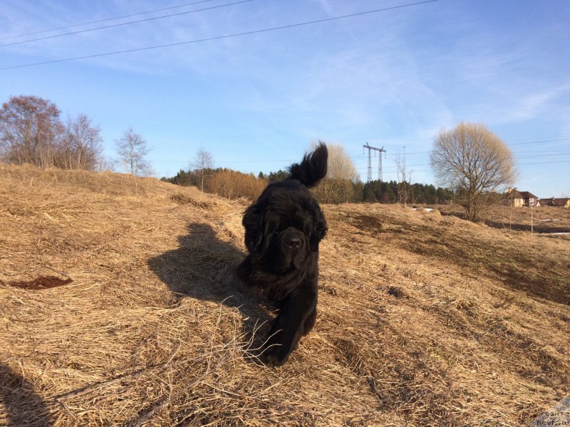 Фотография № 223060